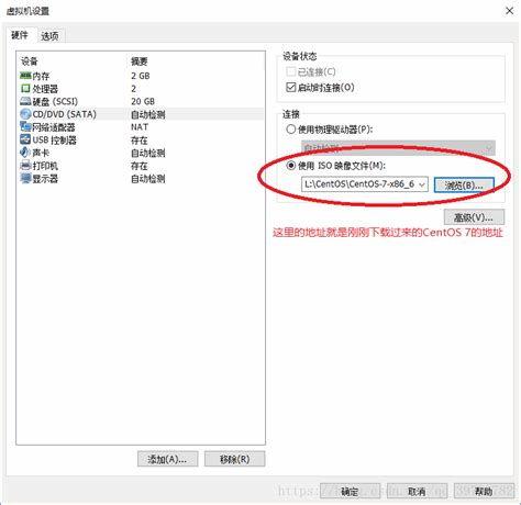 在线视频无码表,深度解析与风险警示
